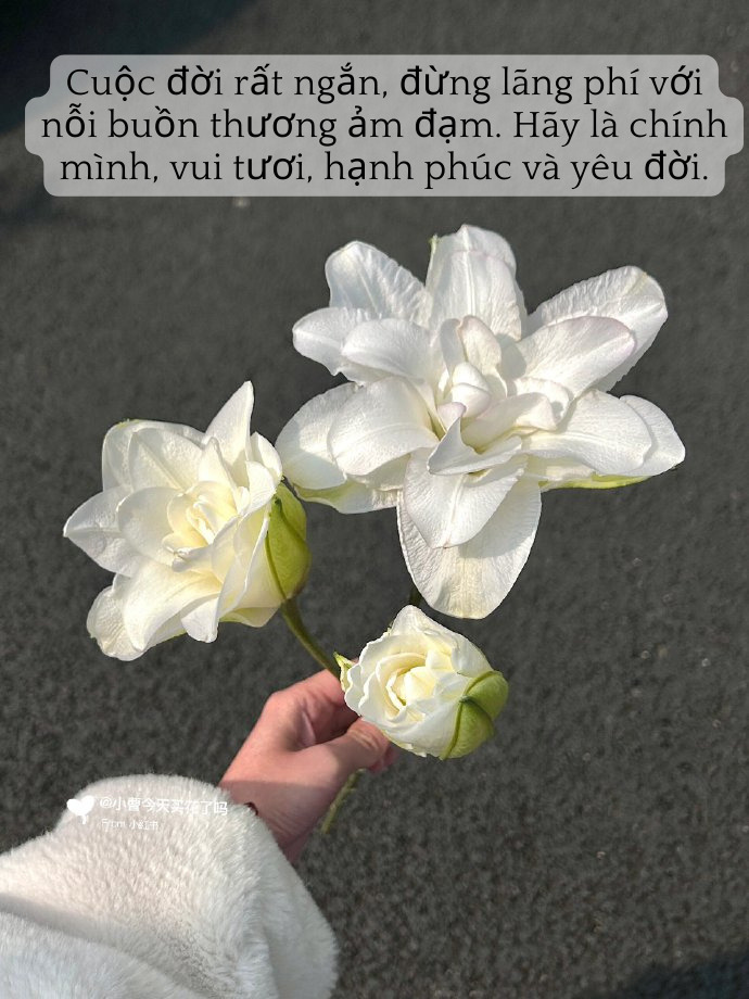 Captions yêu đời 8