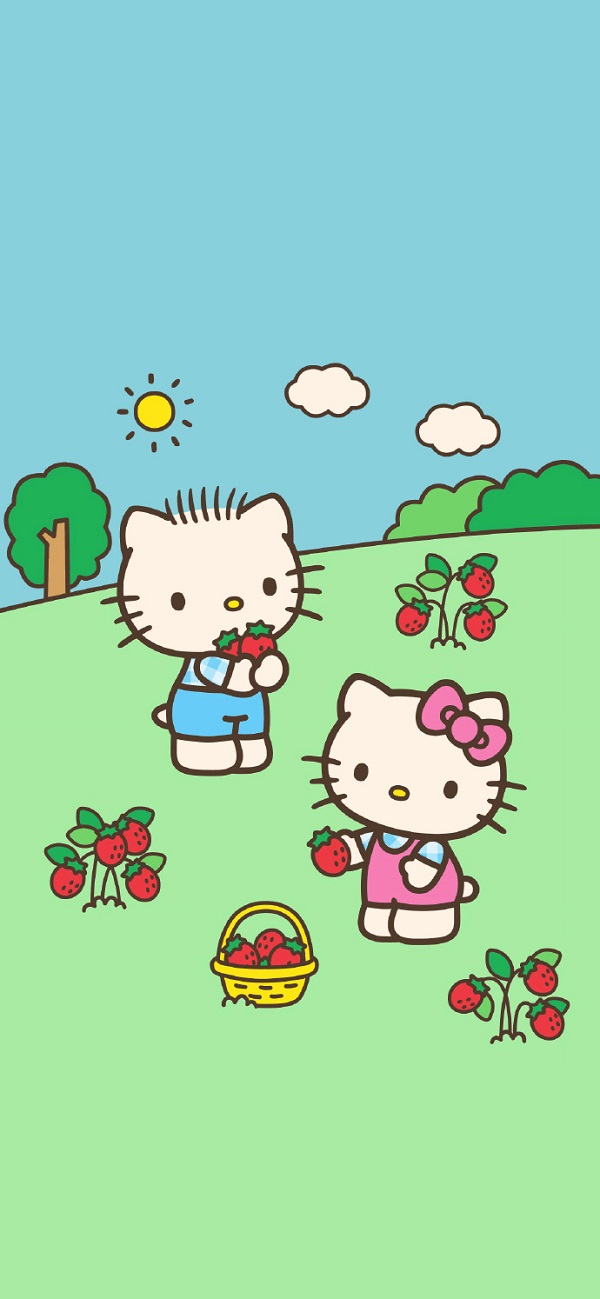 Hình nền Hello Kitty đáng yêu 6