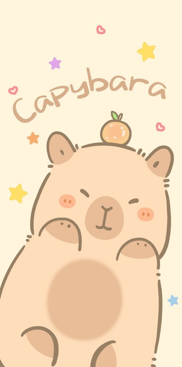 Hình nền Capybara cute cực dễ thương 15