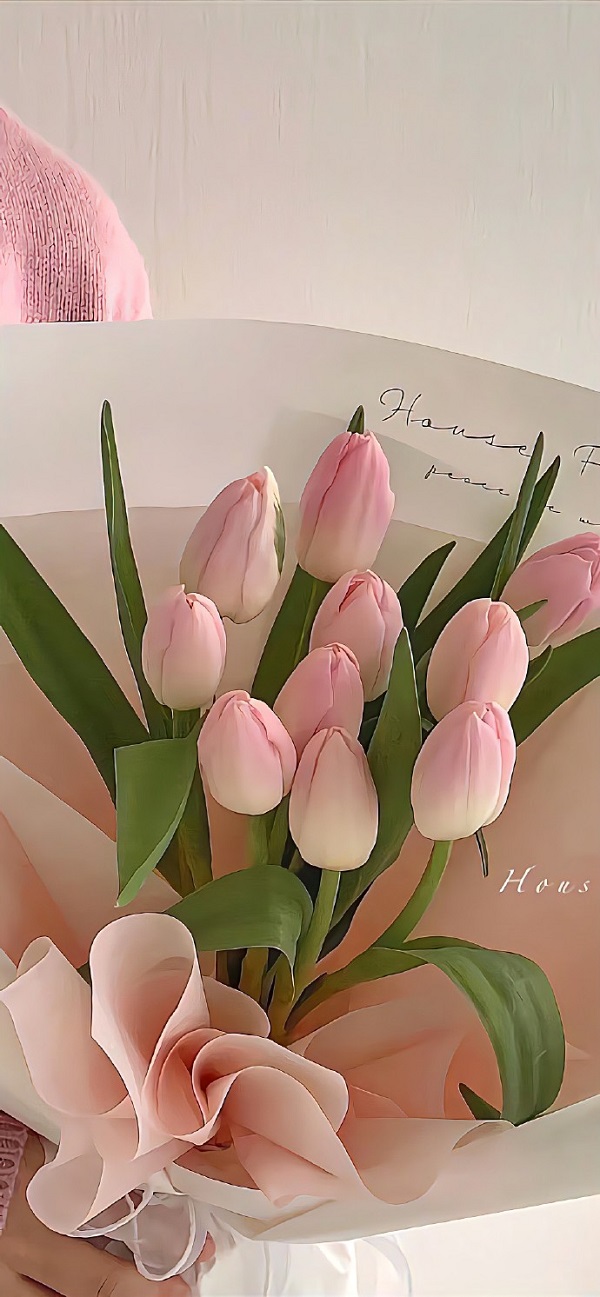 Hình nền hoa tulip đẹp nhất 2