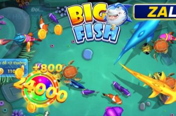 Bắn Cá ZALV | Tổng Hợp Những Game Hot Và Kinh Nghiệm Bất Bại