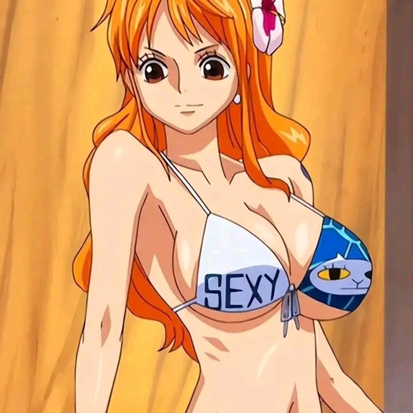 Ảnh Nami hentai bikini 7