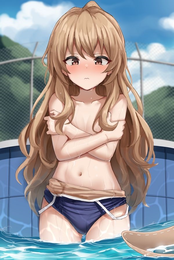 Ảnh Taiga Aisaka bikini 13