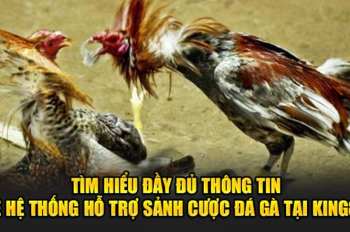 Khám Phá Hệ Thống Hỗ Trợ Đá Gà Cựa Sắt Chuyên Nghiệp 24/7 Của Kinh88!