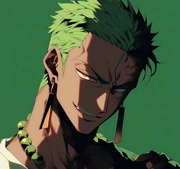 Hình ảnh zoro 5