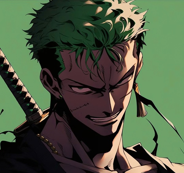 Hình ảnh zoro 6