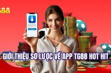 Hướng dẫn tải app TG88 chi tiết đơn giản cho Android và iOS