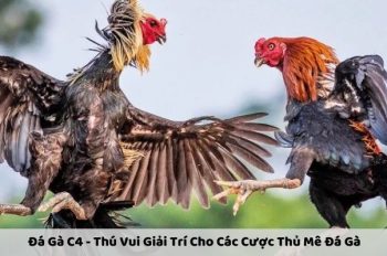 Đá Gà C4 – Thú Vui Giải Trí Cho Các Cược Thủ Mê Đá Gà