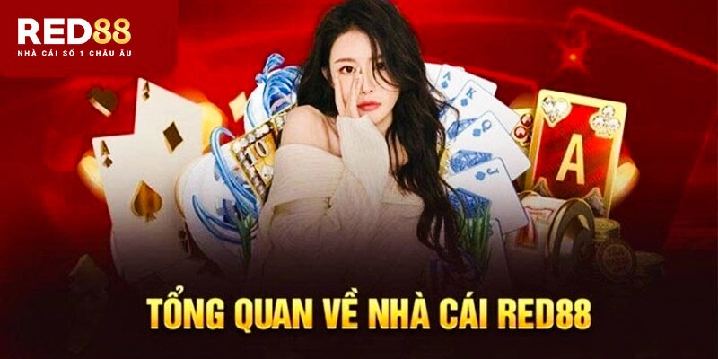 Lý do nên tải app Red88 – Trải nghiệm tuyệt vời