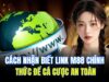 Cách Nhận Biết Link M88 Chính Thức Để Cá Cược An Toàn